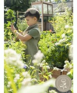 FABELAB Apron - Chambray Olive